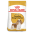 Royal Canin Cavalier King Charles Adult Dog Dry Food 1.5kg available at PetCentral Qatar