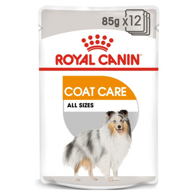 Royal Canin Coat Care Wet Dog Food 12x85g Qatar Buy PetCentral