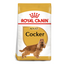 Royal Canin Cocker Adult Dog Dry Food 3kg available at PetCentral Qatar