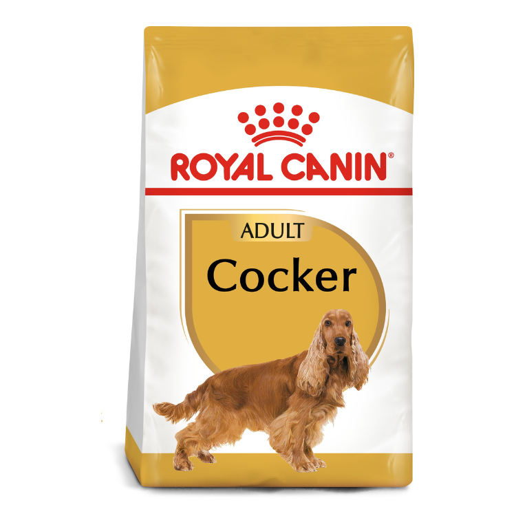 Royal Canin Cocker Adult Dog Dry Food 3kg available at PetCentral Qatar
