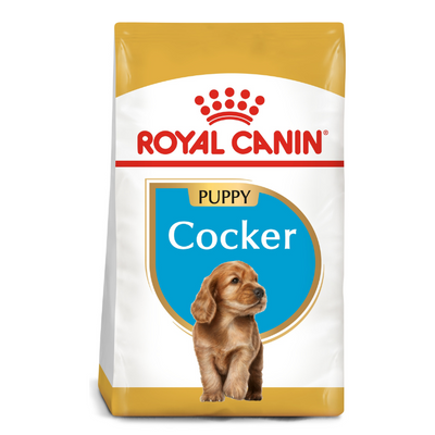 Royal Canin Cocker Puppy Dry Food 3kg available at PetCentral Qatar