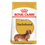Royal Canin Dachshund Adult Dog Dry Food 1.5kg available at PetCentral Qatar