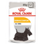 Royal Canin Dermacomfort Wet Dog Food 12x85g Qatar Buy PetCentral
