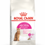 Cat Dry Food - Royal Canin Exigent Protein Cat Dry Food 2kg bag available at PetCentral Qatar