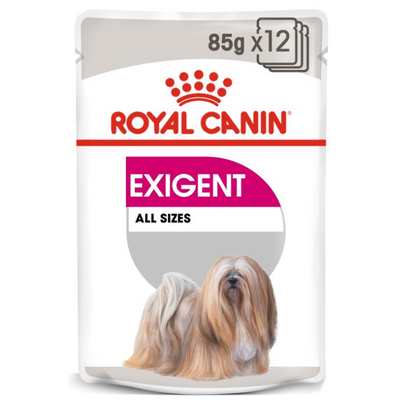 Royal Canin Exigent Wet Dog Food 12x85g Qatar Buy PetCentral