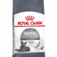 Royal Canin Feline Care Nutrition Dental Care 1.5 KG Cat Food Qatar