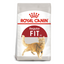 Royal Canin Fit 32 Cat Food 2 KG Qatar Buy PetCentral