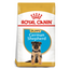 Royal Canin German Shepherd Puppy Dry Food available at PetCentral Qatar