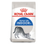 Royal Canin Indoor Cat Food 2 KG Qatar Buy PetCentral