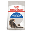 Royal Canin Indoor Long Hair Cat Food 2 KG Qatar Buy PetCentral