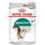 Royal Canin Instinctive Gravy Wet Food 12x85g Qatar Buy PetCentral