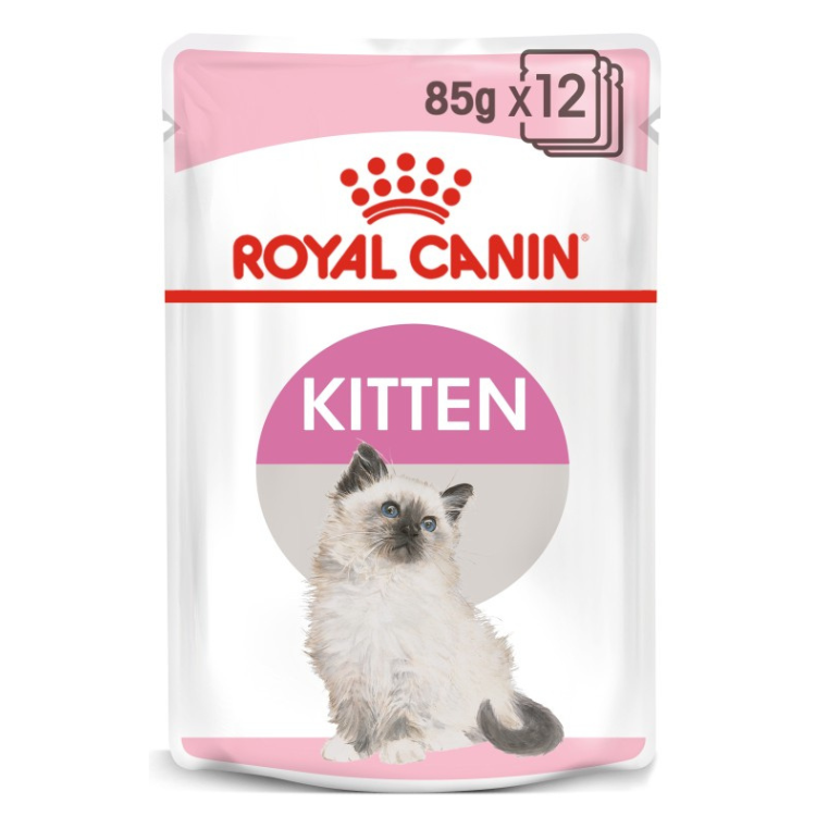 Royal Canin Kitten Jelly Wet Food 12x85g Qatar Buy PetCentral