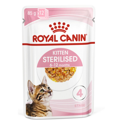 Royal Canin Kitten Sterilised Jelly Wet Food 12x85g Qatar Buy PetCentral