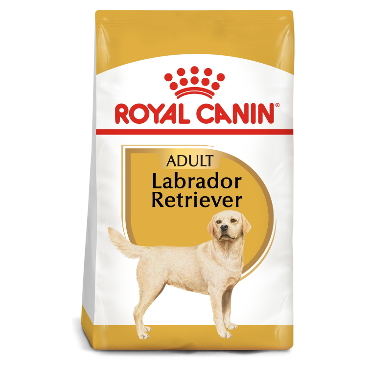 Royal Canin Labrador Adult Dog Dry Food available at PetCentral Qatar