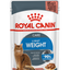 Cat Wet Food