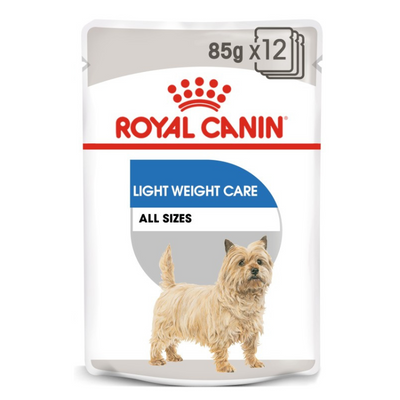 Royal Canin Light Weight Care Wet Dog Food 12x85g Qatar Buy PetCentral