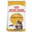 Royal Canin Maine Coon Adult Cat Dry Food 2kg available at PetCentral Qatar