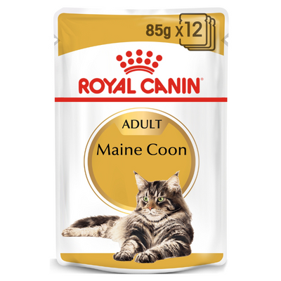 Royal Canin Maine Coon Cat Wet Food 12x85g Pouches available at PetCentral Qatar