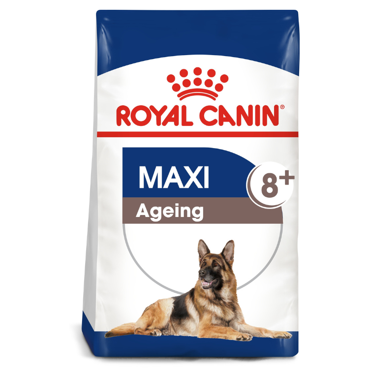 Royal Canin Maxi Ageing 8 Dog Food 15 KG Qatar Buy PetCentral