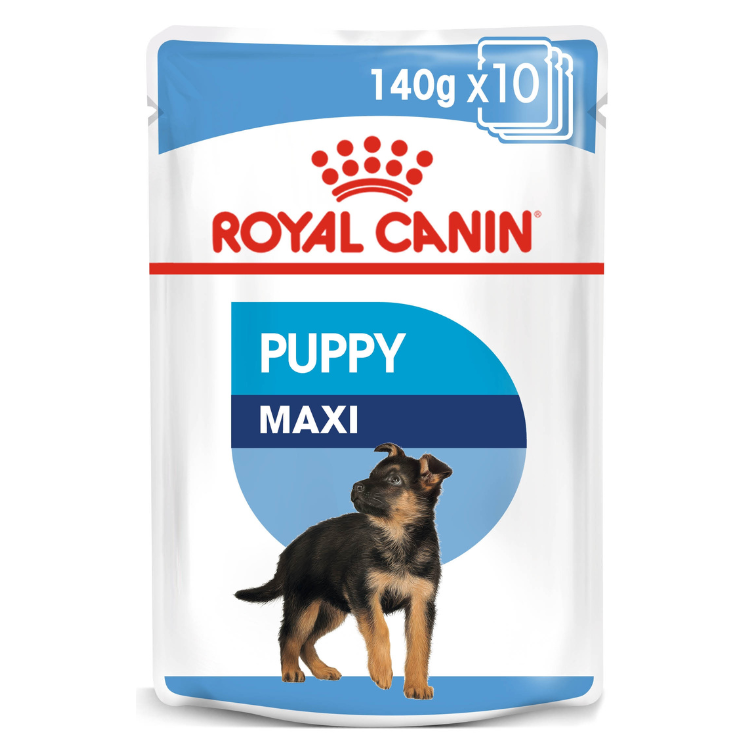 Royal Canin Maxi Puppy Wet Food 10x140g Qatar Buy PetCentral