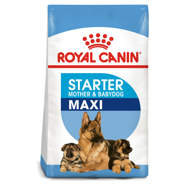 Royal Canin Maxi Starter Puppy Food 15 KG Qatar Buy PetCentral