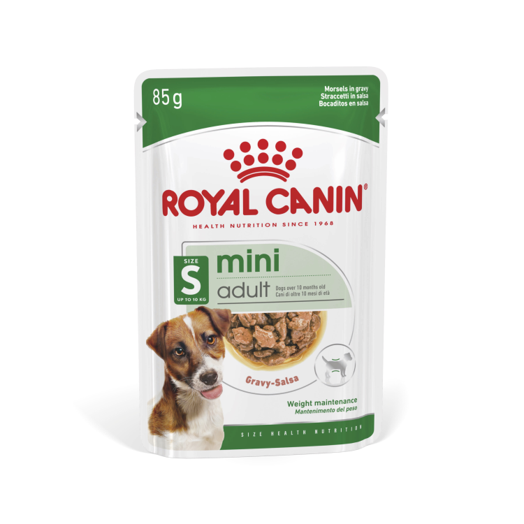 Royal Canin Mini Adult Wet Food 12x85g Qatar Buy PetCentral