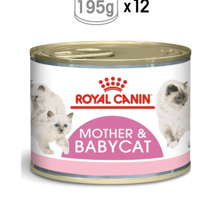 Royal Canin Mother & Babycat Mousse Wet Food 12x195g Qatar Buy PetCentral