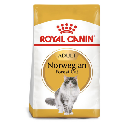 Royal Canin Norwegian Forest Adult Cat Dry Food 2kg available at PetCentral Qatar