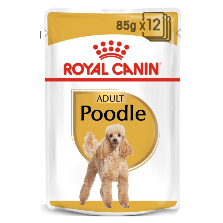 Royal Canin Poodle Adult Wet Food 12 x 85g Pouches available at PetCentral Qatar