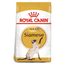 Royal Canin Siamese Adult Cat Dry Food 2kg available at PetCentral Qatar