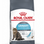 Royal Canin Urinary Care Cat Food 2 KG Qatar Buy PetCentral