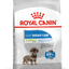 Royal Canin XS Adult Light Weight Care Dog Food 1.5 KG Qatar Buy PetCentral