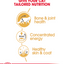 Royal Canin  Feline Breed Nutrition Maine Coon (Cat WET FOOD - Pouches)