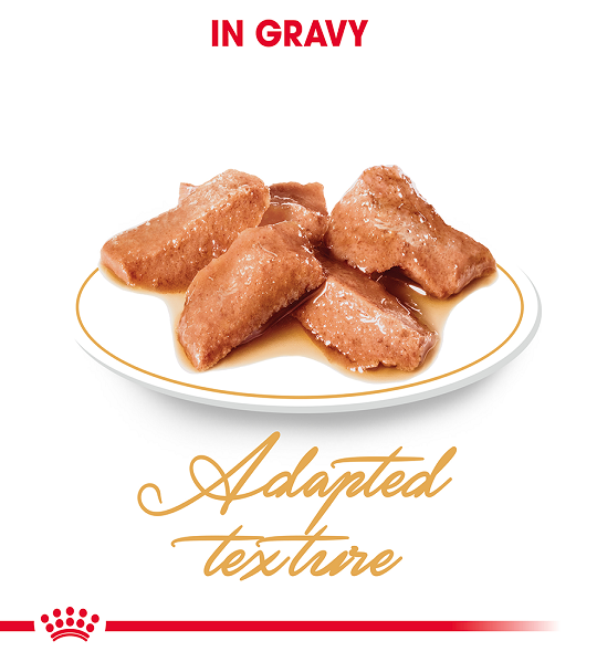 Royal Canin  Feline Breed Nutrition Maine Coon (Cat WET FOOD - Pouches)
