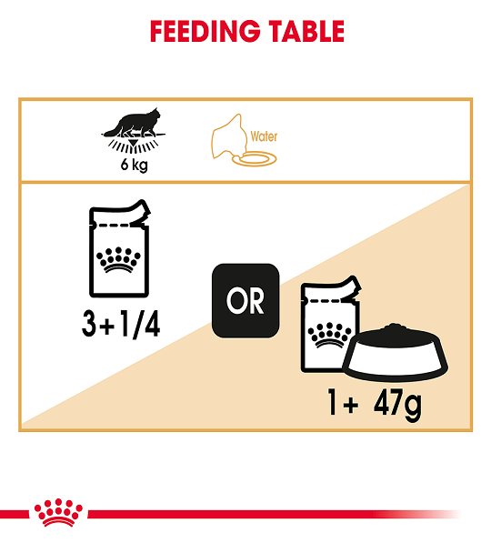 Royal Canin  Feline Breed Nutrition Maine Coon (Cat WET FOOD - Pouches)