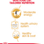 Royal Canin Feline Breed Nutrition British Shorthair (Cat WET FOOD - Pouches)