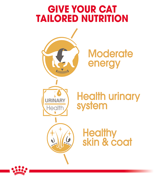 Royal Canin Feline Breed Nutrition British Shorthair (Cat WET FOOD - Pouches)