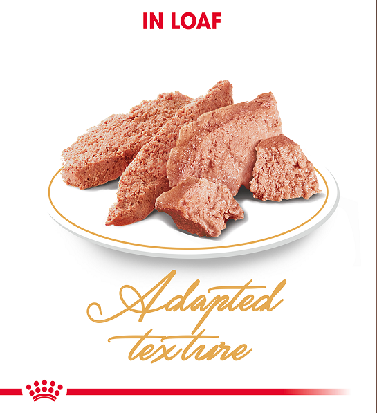 Royal Canin  Feline Breed Nutrition Persian (Cat WET FOOD - Pouches)