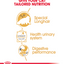 Royal Canin  Feline Breed Nutrition Persian (Cat WET FOOD - Pouches)