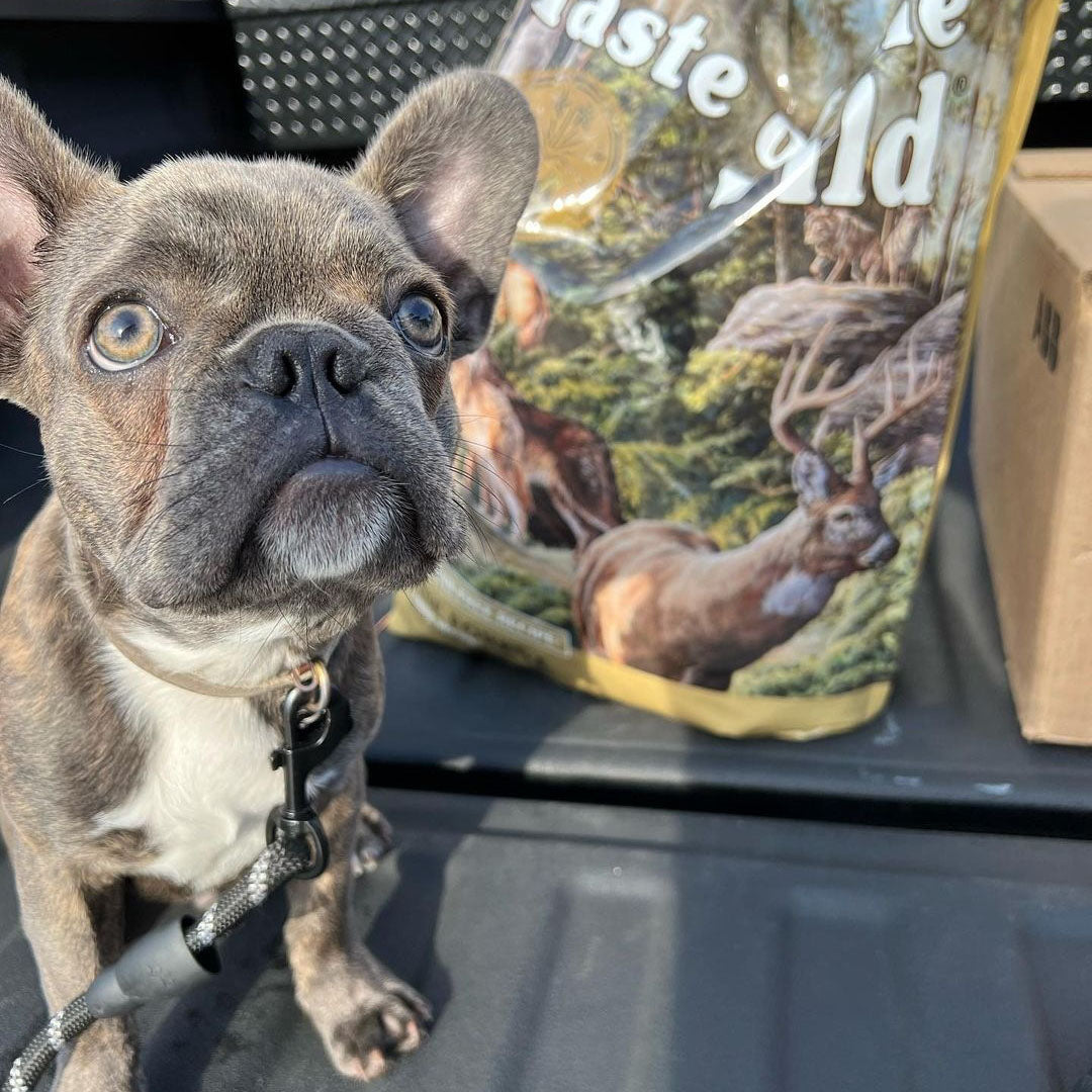 Taste Of Wild Pine Forest Canine Recipe with Venison & Legumes