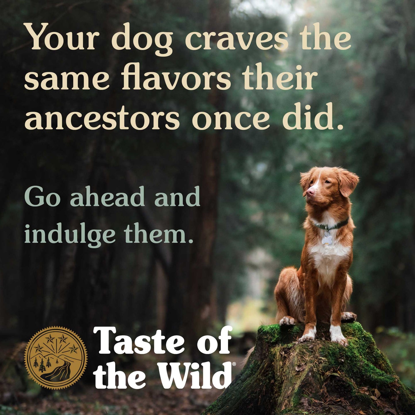 Taste Of Wild Southwest Canyon Canine Recipe with Wild Boar