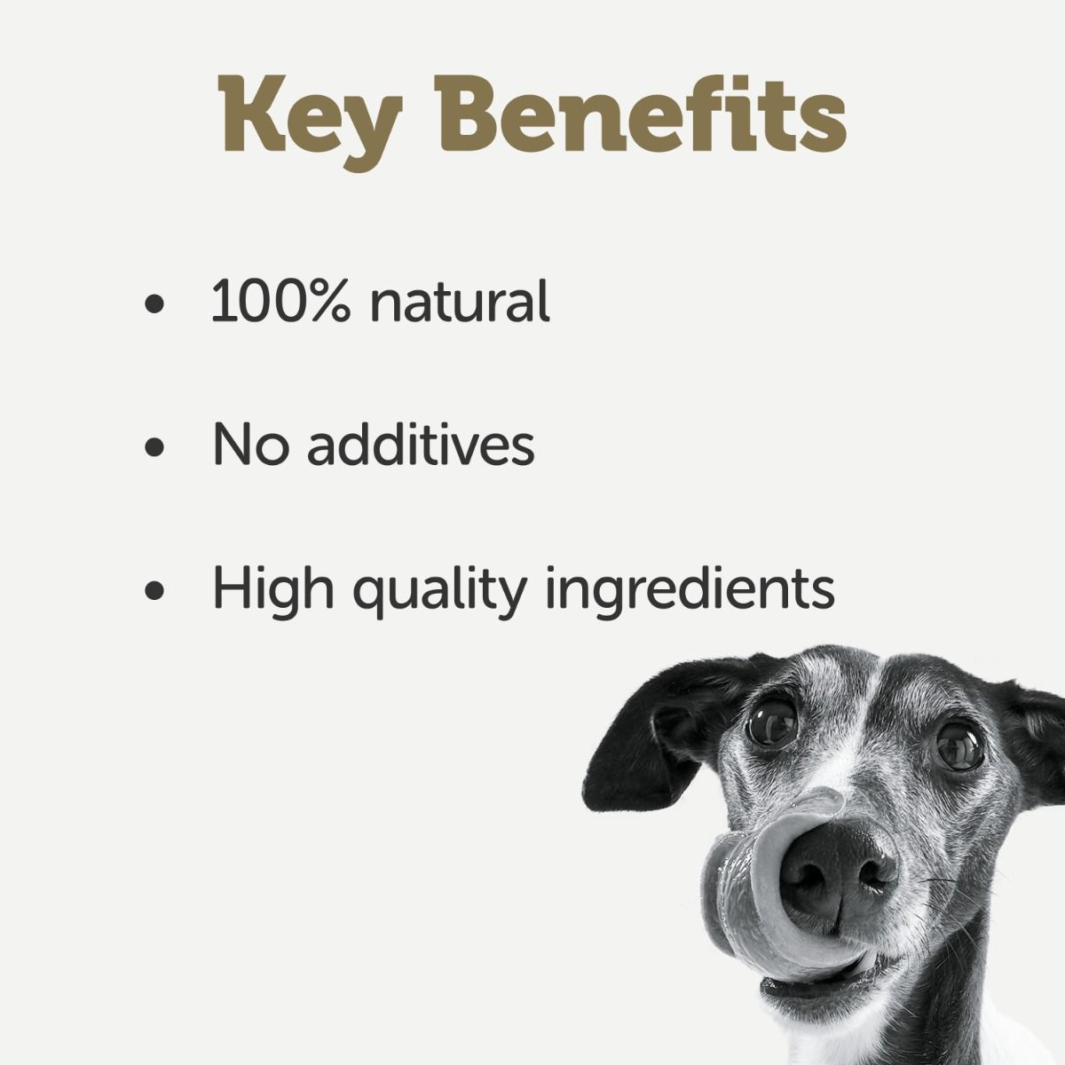 Applaws Taste Toppers in Broth Chicken with Vegetables Wet Dog Food 156g Tin