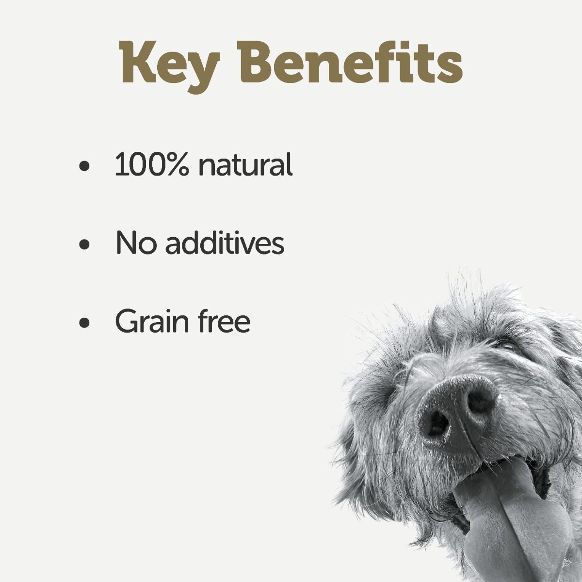 Applaws Taste Toppers in Gravy Chicken with Duck Wet Dog Food 156g Tin