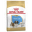 Royal Canin Breed Health Nutrition Shih Tzu Puppy Dry Food 1.5 KG