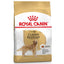 Royal Canin Breed Health Nutrition Golden Retriever Adult Dry Dog Food 12 KG