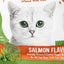 Breath Bites Salmon Flavor 60g