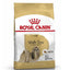 Royal Canin Breed Health Nutrition Shih Tzu Adult Dry Dog Food