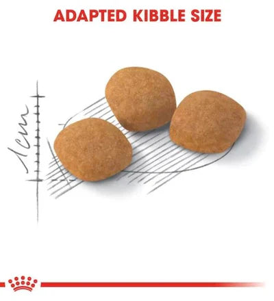 Royal Canin  Feline Health Nutrition Exigent Protein Cat Dry Food 2 KG