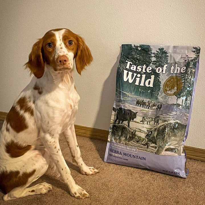 Taste Of Wild Sierra Mountain Canine Recipe with Roasted Lamb