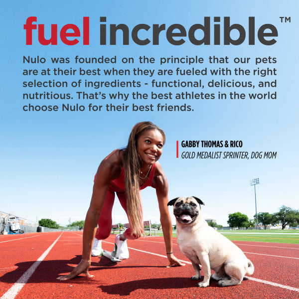 Nulo FreeStyle Adult Dog Turkey & Sweet Potato Dry Food